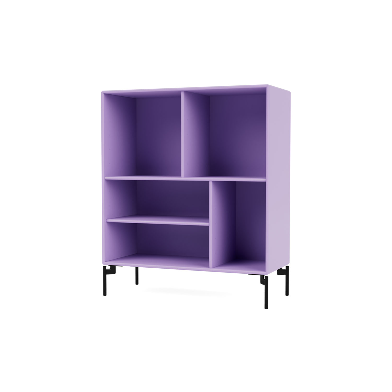 Shelf 1619, Iris